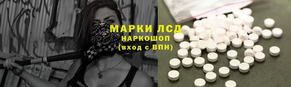 сатива Семикаракорск