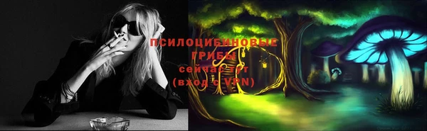 сатива Семикаракорск